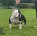 Bridgett Ross - Facebook