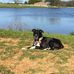 Bridgett Youngblood - Facebook
