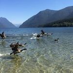 Bridgette Clarke Lavers - @clarkelavers - Instagram