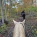 Bridget Hart - Facebook