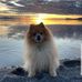 Bridget Kemp - Facebook