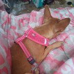 Bridgette Minor - @bridgette.minor.73 - Instagram