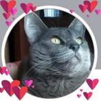 Bridgette A Nelson - Facebook
