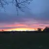 Bridgette_pearsonn - @bridgette_pearsonn - TikTok