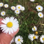 Bridget Stanley - @bridget_photography___ - Instagram
