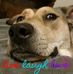 Bridgette Watkins - Facebook