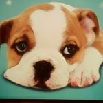 bridget wolfe - @bridgetwolfe2 - Instagram