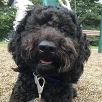 Brie - @brie_stevens_adventures - Instagram
