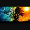 Bri - @brielle_bryan_57412 - TikTok