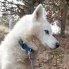 gabriellemcgrath3 - @gabriellemcgrath3 - TikTok