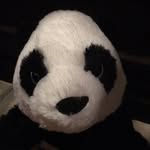 Brielle Snyder - @brielle_panda25 - Instagram