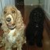 Brigette Cavanagh - Facebook