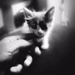 Brîghäm Täylör WT - @brigham._.taylor._.wt - Instagram