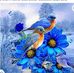 Brigid Barron - Facebook
