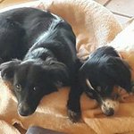 Brigid Conway Seifert - @conwaybrigid - Instagram