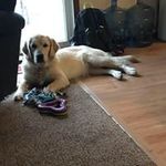 Brigid Jones-Boggs - @brigidjonesboggs - Instagram