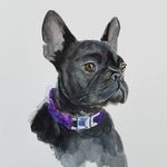 Brigid McHugh Jones - @bmjportraits - Instagram