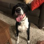Brigid Walsh - @all_mad_here - Instagram