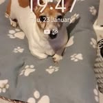 Brigid Walsh - @brigidwalsh41 - Instagram