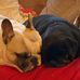 Brigid Watson - Facebook