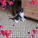 Brigitte Baron - Facebook