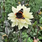 Brigitte Bertrand - @brigitte.bertrand.7712 - Instagram