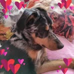 Brigitte Bertrand - Facebook
