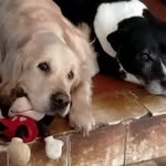 Brigitte Bertrand - @brigitte.bertrand.3979 - Instagram