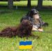 Brigitte Gagnon - Facebook