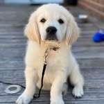 Brigitte Hayes - @brigitte_hayes - Instagram