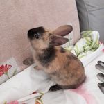 Brigitte Hébert - @bri.gitte3000 - Instagram