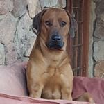 Brigitte Johnson - @johnsonb253gmail - Instagram