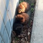 Brigitte Johnson - @johnsonbrigitte526 - Instagram