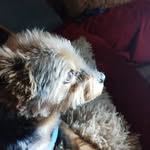 Brigitte Köhler - @brigittekohler38 - Instagram