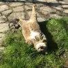 brigittekohler397 - @brigittekohler397 - TikTok