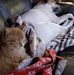 Brigitte Lewis - Facebook