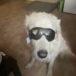 Brigitte Lewis - @brigitte58 - Instagram