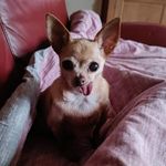 Brigitte Maddens - @brigitte.maddens - Instagram