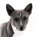 Brigitte Moser - Facebook
