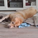 Brigitte Moser - @brigitte.moser.5283 - Instagram