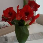 Brigitte Pohl - @brigitte.pohl.948 - Instagram
