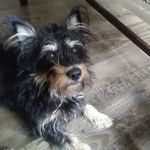 Brigitte Pohlmann - @brigitte.pohlmann.142 - Instagram
