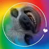 brigitteannapohl - @brigitteannapohl - TikTok