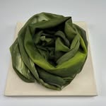 Post Silk Art - @brigitte.post - Instagram