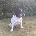 Brigitte Rabe - Facebook