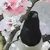 Brigitte Rowlin - @brigitte.rowlin - TikTok