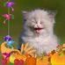 Brigitte Ray - Facebook