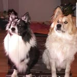 Brigitte Reichert - @brigitte.reichert.39 - Instagram