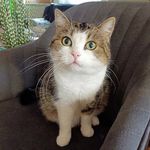 Brigitte Krenner - @krennerbrigitte - Instagram