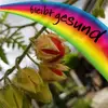 Brigitte Renner - @brigitte.renner2 - TikTok